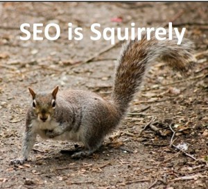 The Reason SEO Is So Squirrely - ITAcceleration